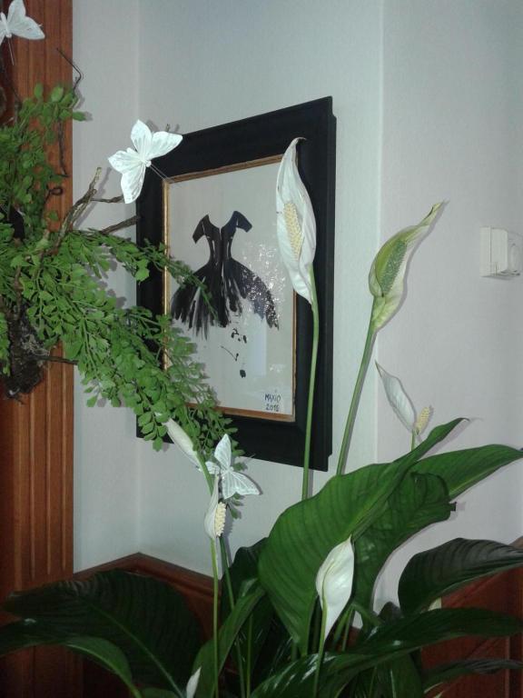 Balneum Boutique Hotel & B&B Bagno di Romagna Dış mekan fotoğraf